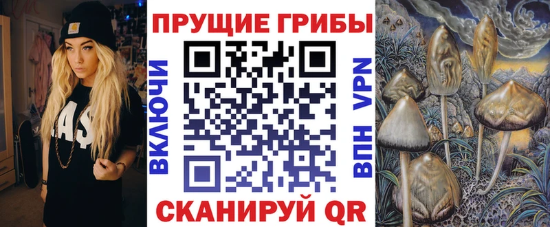 Псилоцибиновые грибы Psilocybine cubensis  магазин продажи наркотиков  Янаул 